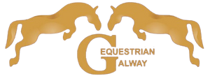 Stable Style 4 Kids @Galway Equestrian Centre 