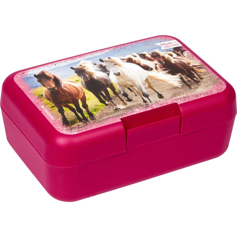Horse lunch box