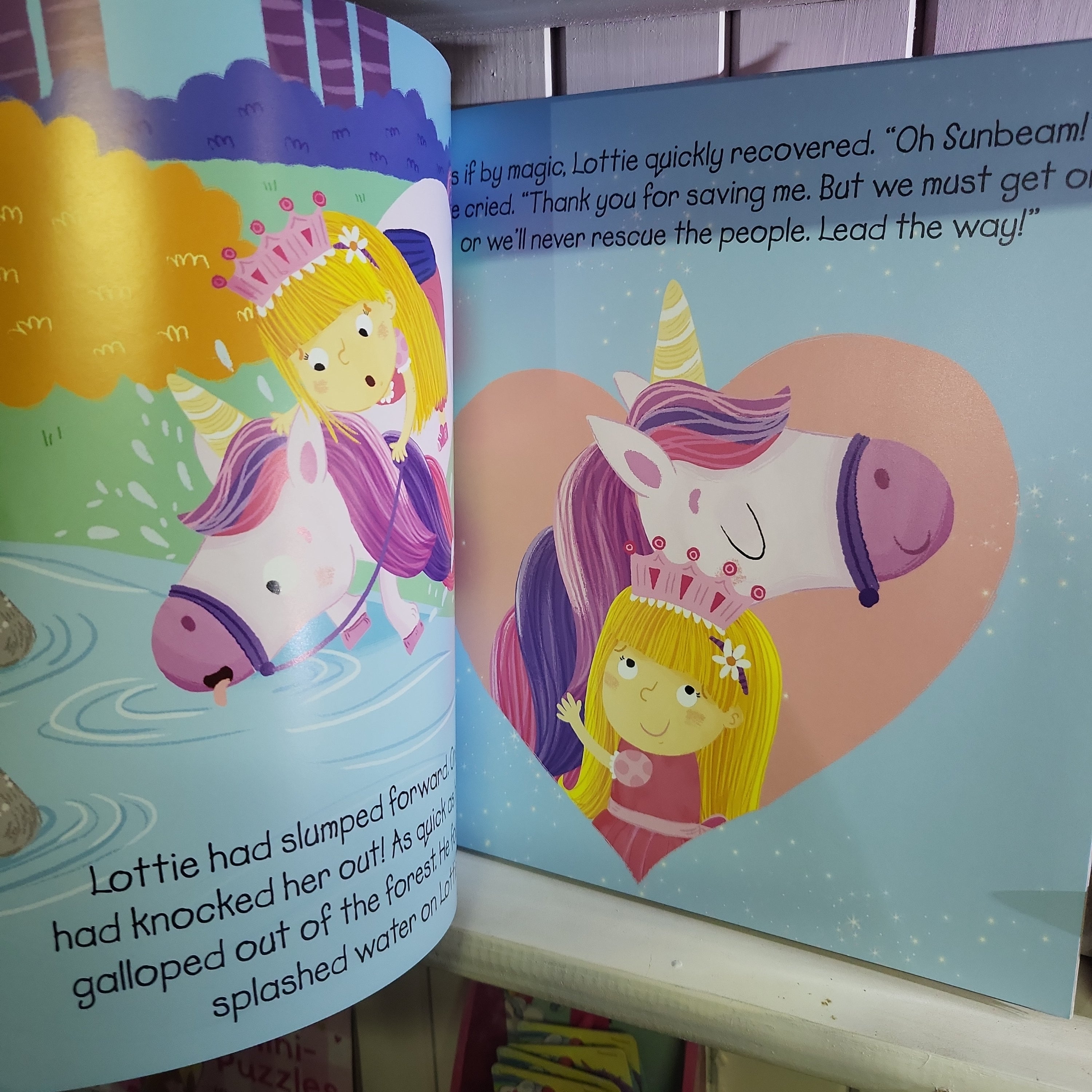 Childrens princess and the unicorn book