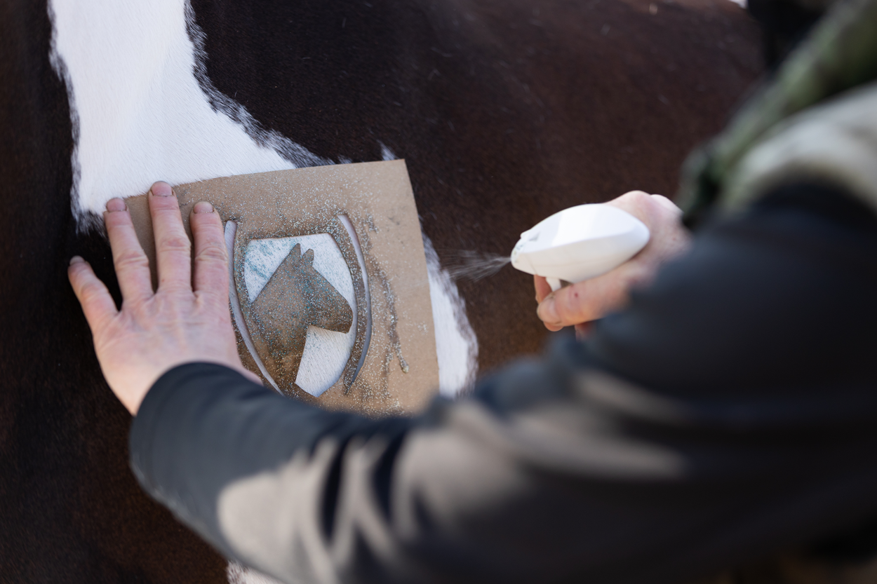 Excellent Horse Hi Gloss Glitter Spray Silver 250 ml