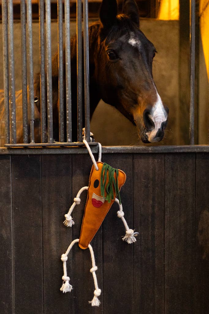 Horse Toy Carrot
