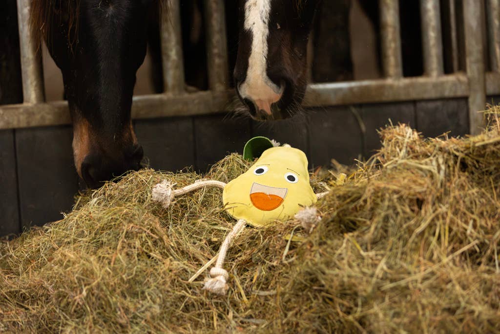 Uitstekende Paarden Voedselvrienden Peer