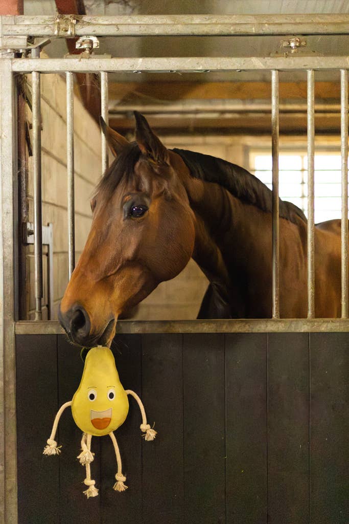 Uitstekende Paarden Voedselvrienden Peer