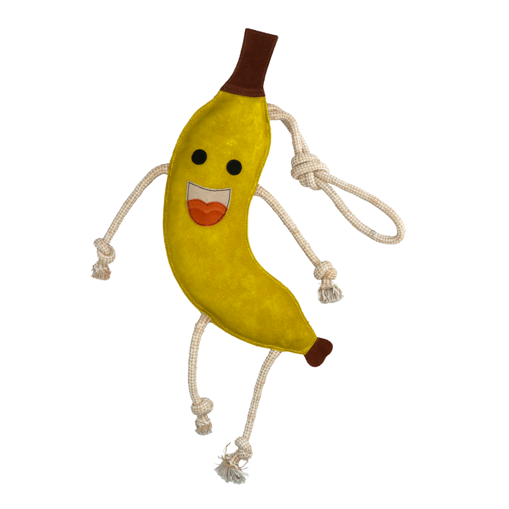 Uitstekende Paarden Voedselvrienden Banaan