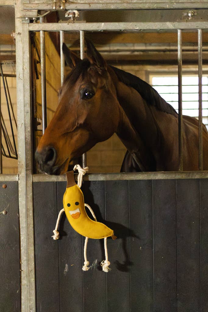 Uitstekende Paarden Voedselvrienden Banaan