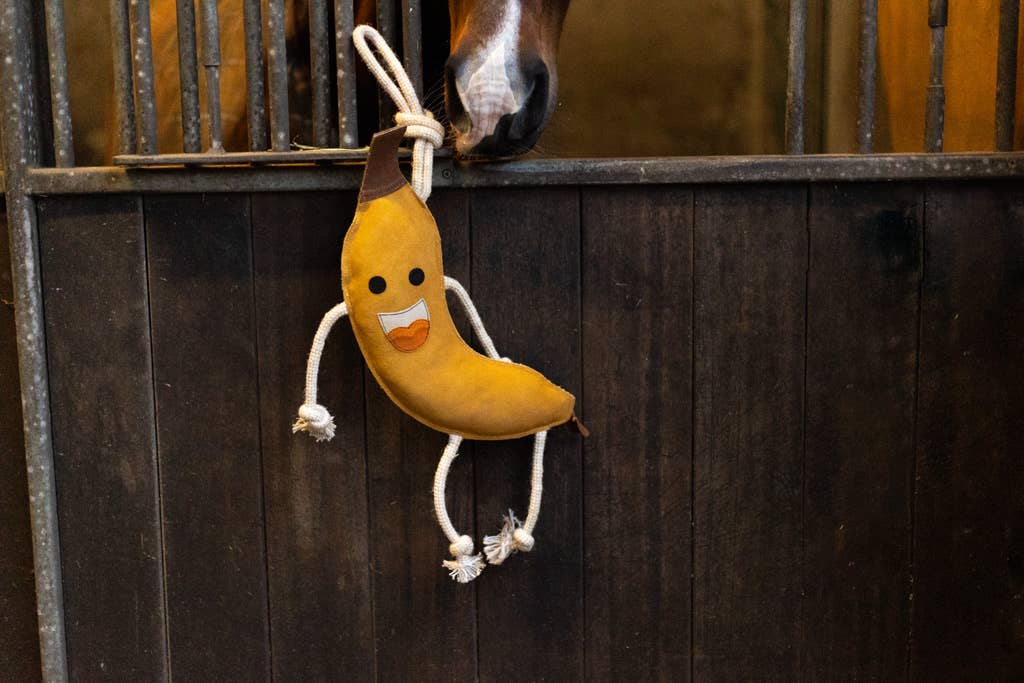 Uitstekende Paarden Voedselvrienden Banaan