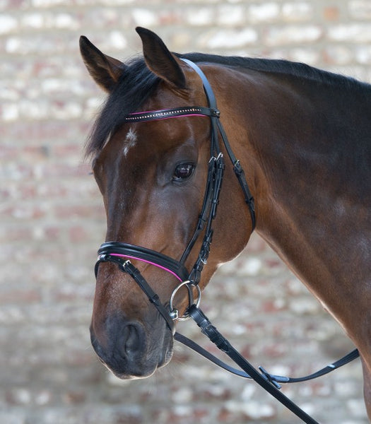 Shetland star diamond pink bridle