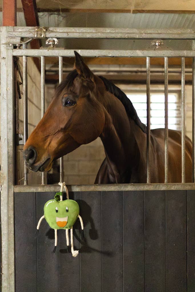 Uitstekende Paarden Voedselvrienden Appel