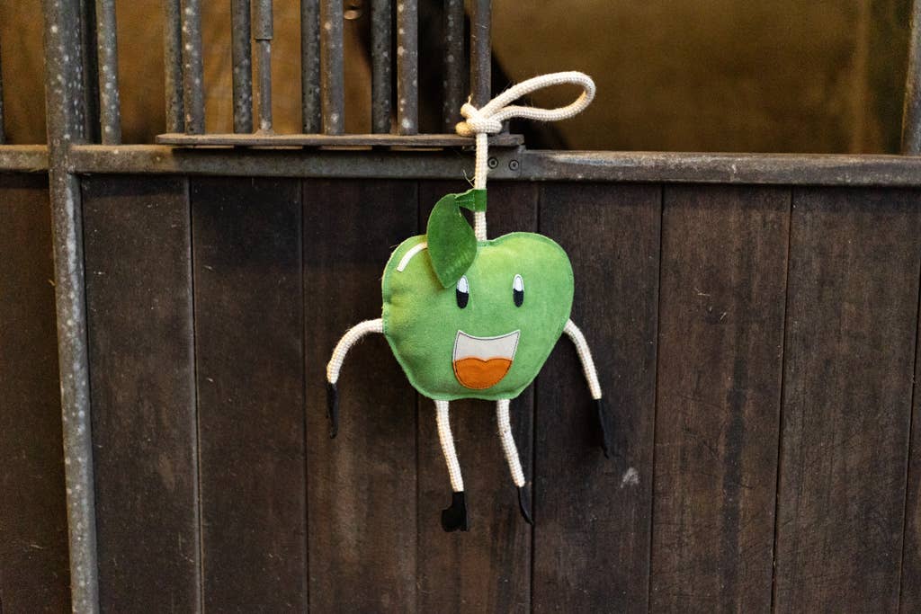 Uitstekende Paarden Voedselvrienden Appel