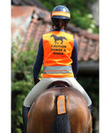 Hi viz safety vest