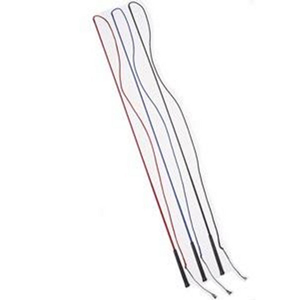 Shires lunging whips